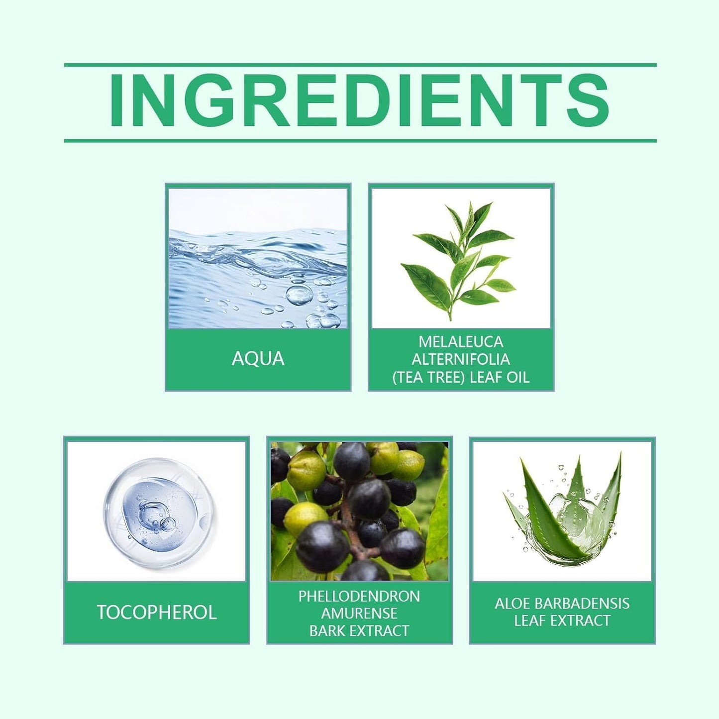 Foot Sanitizer Spray with Tea for Foot & Shoe Freshness,Quick-Drying & Travel-Friendly,100 ml/3.5 oz